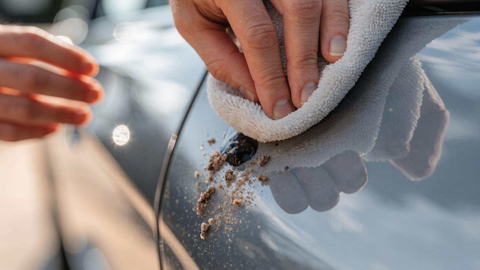 Fjern fugleklatter og insekter fra lakken uden at skade den